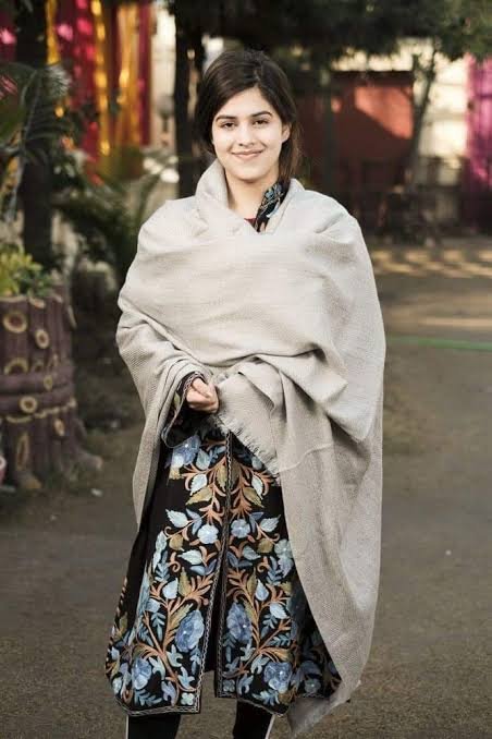 how to style solid color pashmina stoles